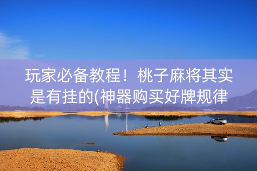 玩家必备教程！桃子麻将其实是有挂的(神器购买好牌规律)