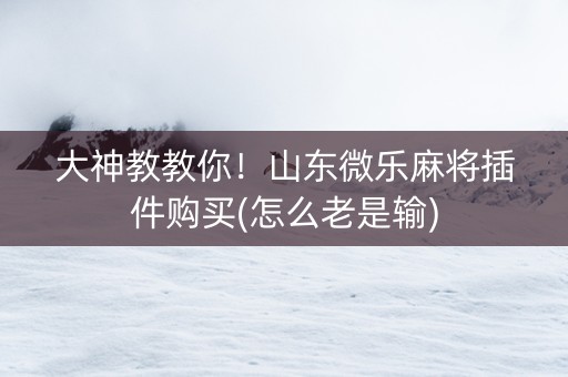 大神教教你！山东微乐麻将插件购买(怎么老是输)