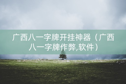 广西八一字牌开挂神器（广西八一字牌作弊,软件）