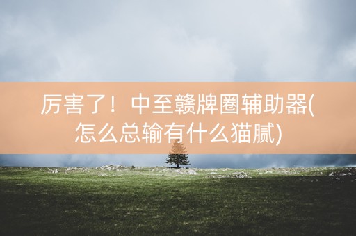 厉害了！中至赣牌圈辅助器(怎么总输有什么猫腻)