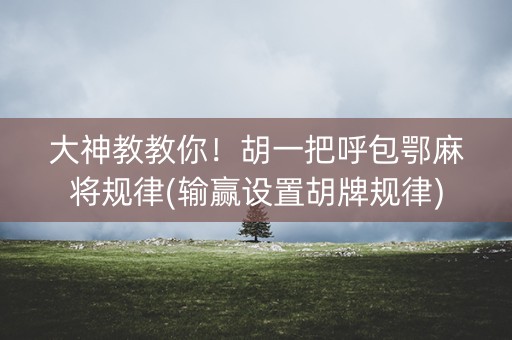 大神教教你！胡一把呼包鄂麻将规律(输赢设置胡牌规律)