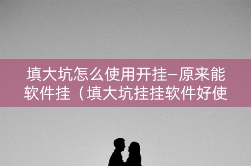 填大坑怎么使用开挂—原来能软件挂（填大坑挂挂软件好使吗）