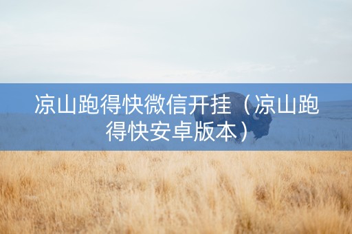 凉山跑得快微信开挂（凉山跑得快安卓版本）