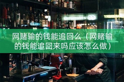 网赌输的钱能追回么（网赌输的钱能追回来吗应该怎么做）