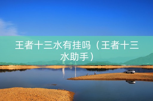 王者十三水有挂吗（王者十三水助手）