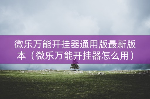 微乐万能开挂器通用版最新版本（微乐万能开挂器怎么用）
