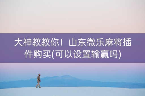 大神教教你！山东微乐麻将插件购买(可以设置输赢吗)
