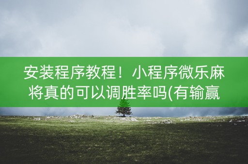 安装程序教程！小程序微乐麻将真的可以调胜率吗(有输赢规律吗)