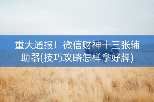 重大通报！微信财神十三张辅助器(技巧攻略怎样拿好牌)