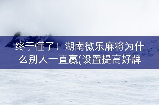 终于懂了！湖南微乐麻将为什么别人一直赢(设置提高好牌几率)