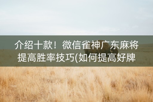 介绍十款！微信雀神广东麻将提高胜率技巧(如何提高好牌几率)