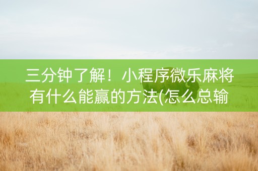 三分钟了解！小程序微乐麻将有什么能赢的方法(怎么总输有什么猫腻)
