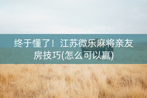 终于懂了！江苏微乐麻将亲友房技巧(怎么可以赢)