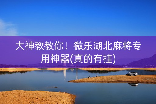 大神教教你！微乐湖北麻将专用神器(真的有挂)