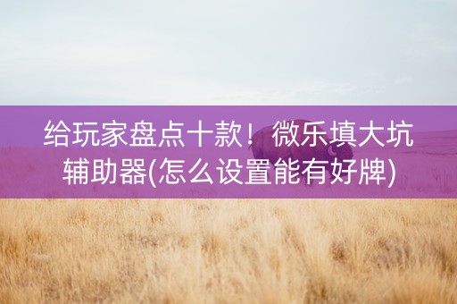 给玩家盘点十款！微乐填大坑辅助器(怎么设置能有好牌)