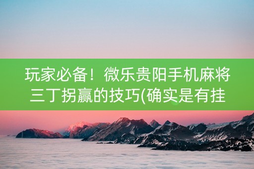 玩家必备！微乐贵阳手机麻将三丁拐赢的技巧(确实是有挂)