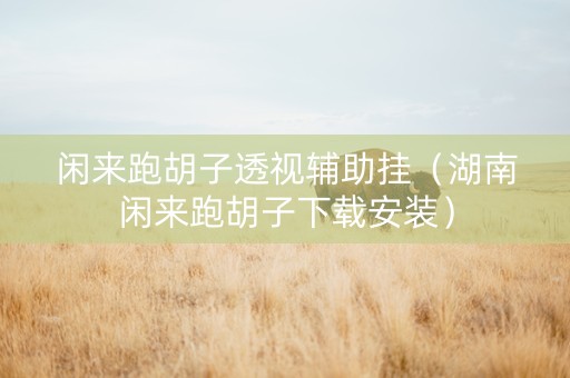 闲来跑胡子透视辅助挂（湖南闲来跑胡子下载安装）