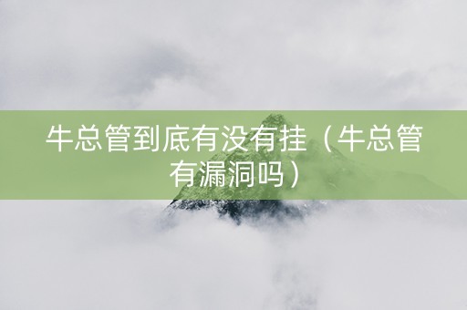 牛总管到底有没有挂（牛总管有漏洞吗）