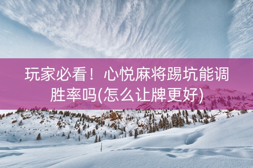 玩家必看！心悦麻将踢坑能调胜率吗(怎么让牌更好)