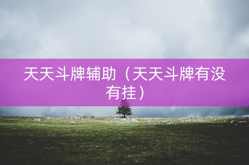 天天斗牌辅助（天天斗牌有没有挂）
