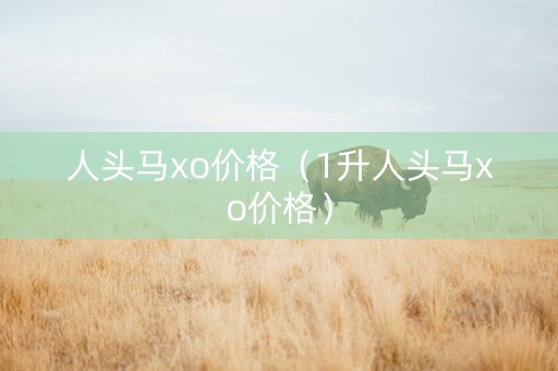 人头马xo价格（1升人头马xo价格）