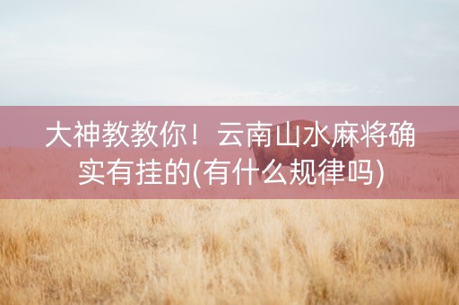大神教教你！云南山水麻将确实有挂的(有什么规律吗)