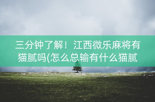 三分钟了解！江西微乐麻将有猫腻吗(怎么总输有什么猫腻)