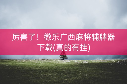 厉害了！微乐广西麻将辅牌器下载(真的有挂)
