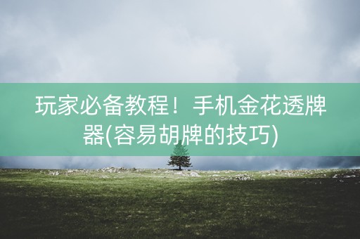 玩家必备教程！手机金花透牌器(容易胡牌的技巧)