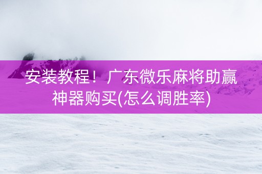 安装教程！广东微乐麻将助赢神器购买(怎么调胜率)