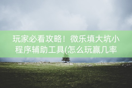 玩家必看攻略！微乐填大坑小程序辅助工具(怎么玩赢几率大)