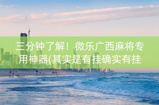 三分钟了解！微乐广西麻将专用神器(其实是有挂确实有挂)
