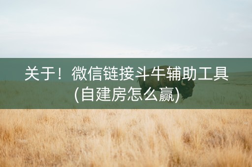 关于！微信链接斗牛辅助工具(自建房怎么赢)
