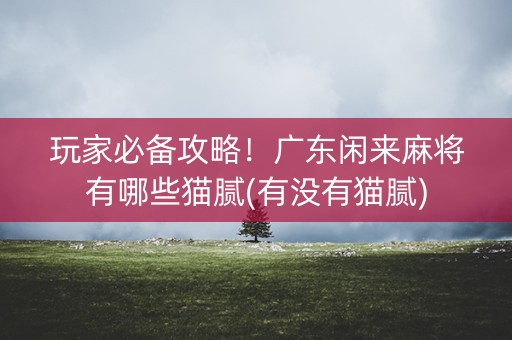 玩家必备攻略！广东闲来麻将有哪些猫腻(有没有猫腻)