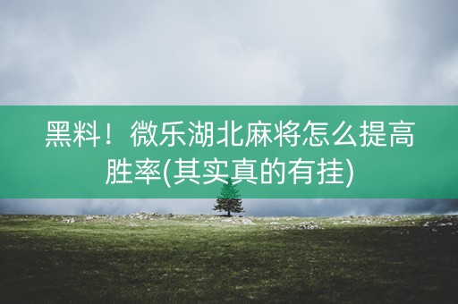 黑料！微乐湖北麻将怎么提高胜率(其实真的有挂)