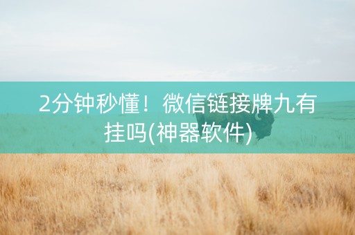 2分钟秒懂！微信链接牌九有挂吗(神器软件)