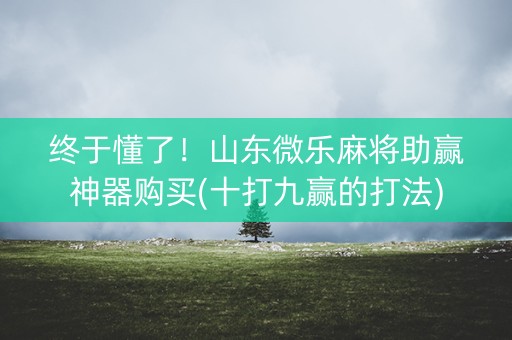 终于懂了！山东微乐麻将助赢神器购买(十打九赢的打法)