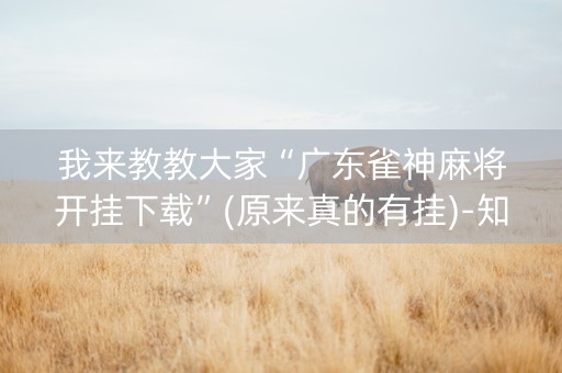 我来教教大家“广东雀神麻将开挂下载”(原来真的有挂)-知乎