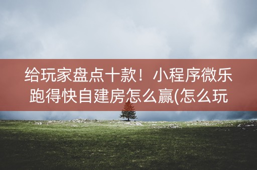 给玩家盘点十款！小程序微乐跑得快自建房怎么赢(怎么玩赢几率大)