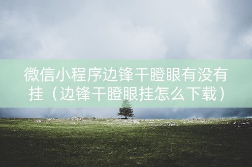 微信小程序边锋干瞪眼有没有挂（边锋干瞪眼挂怎么下载）