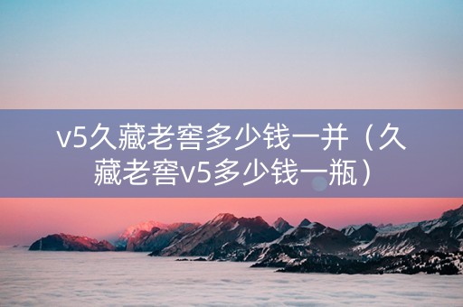v5久藏老窖多少钱一并（久藏老窖v5多少钱一瓶）