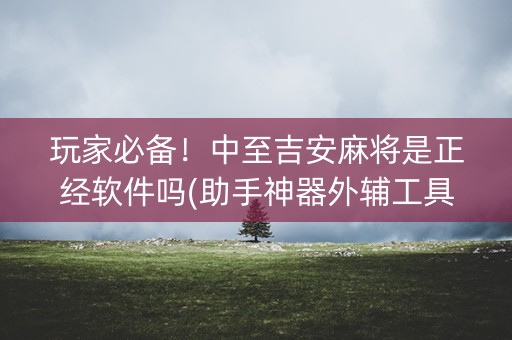 玩家必备！中至吉安麻将是正经软件吗(助手神器外辅工具)