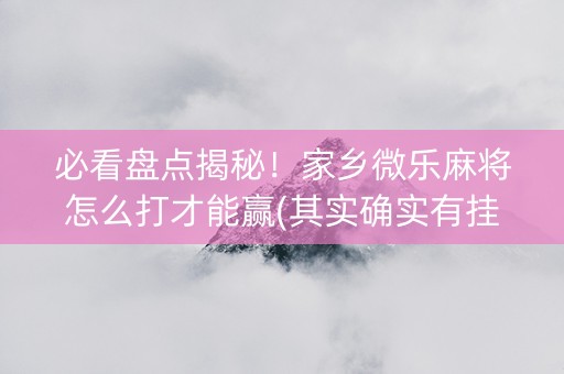 必看盘点揭秘！家乡微乐麻将怎么打才能赢(其实确实有挂)