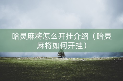 哈灵麻将怎么开挂介绍（哈灵麻将如何开挂）