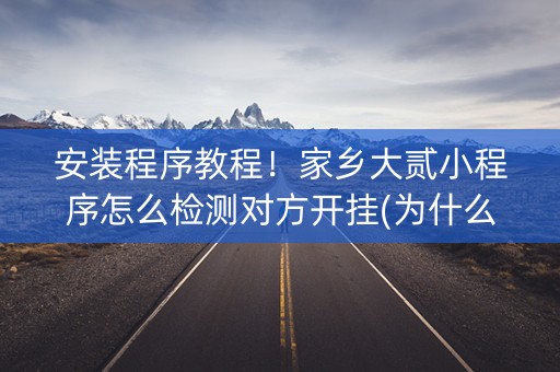 安装程序教程！家乡大贰小程序怎么检测对方开挂(为什么一直输)