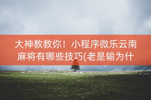 大神教教你！小程序微乐云南麻将有哪些技巧(老是输为什么)