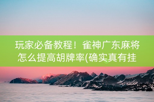 玩家必备教程！雀神广东麻将怎么提高胡牌率(确实真有挂)