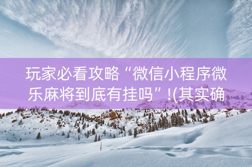 玩家必看攻略“微信小程序微乐麻将到底有挂吗”!(其实确实有挂)-知乎