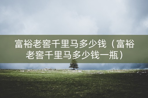 富裕老窖千里马多少钱（富裕老窖千里马多少钱一瓶）