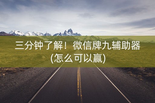 三分钟了解！微信牌九辅助器(怎么可以赢)